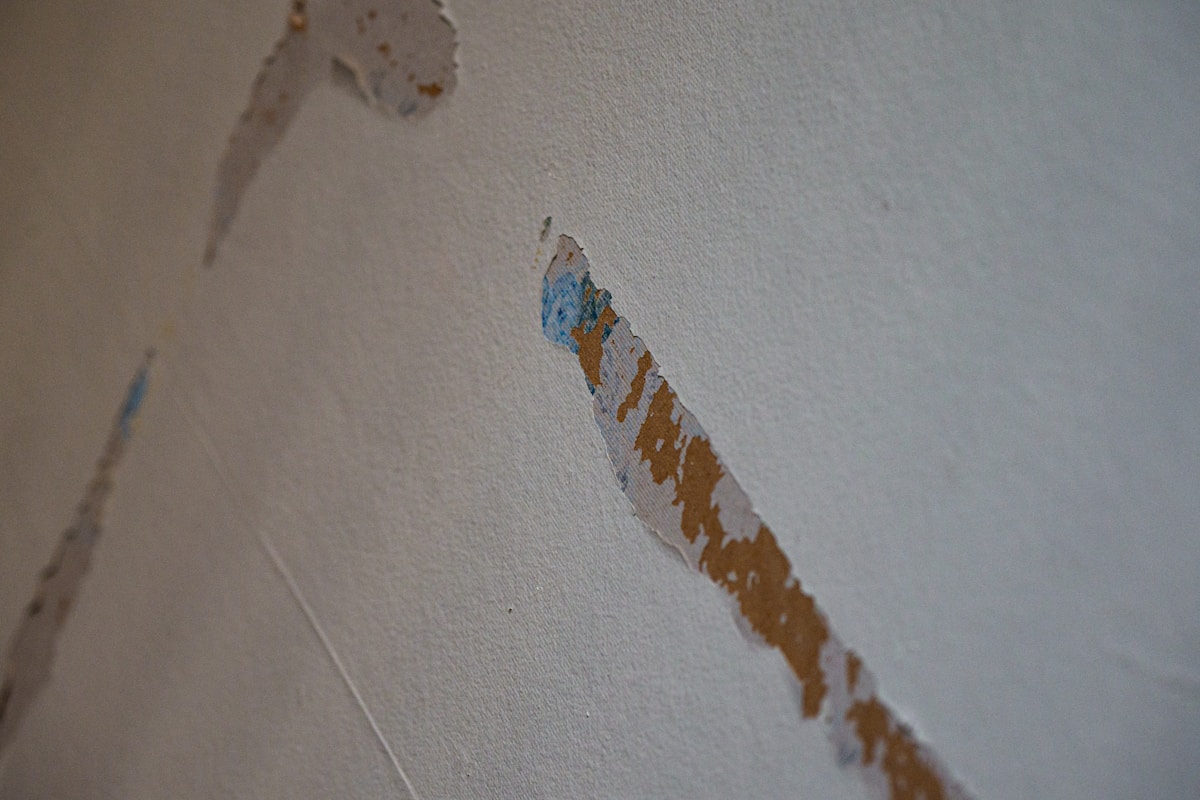 Water Extraction service in San Marcos, CA